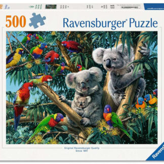 Koalas im Baum / Koalas dans l'arbre