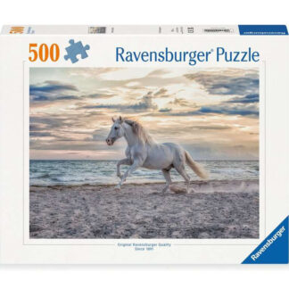 Pferd am Stand / Cheval sur la plage