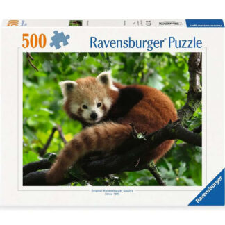 Süsser roter Panda / Adorable Panda Roux