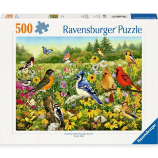 Vogelwiese / Oiseaux dans la prairie