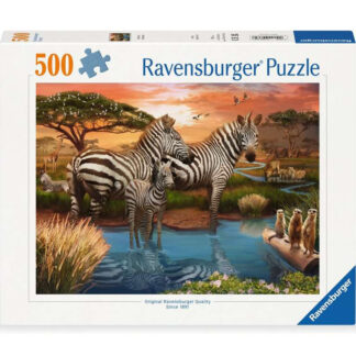 Zebras am Wasserloch / Zèbres au plan d'eau
